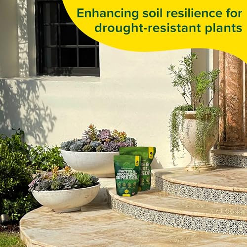 Cactus Soil Potting Mix Succulent Soil Potting Mix for Succulents with Mycorrhizae Indoor Cactus Blend with Mycorrhizal Fungi for Indoor Plants Well Draining Gritty