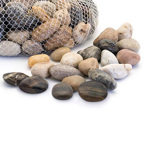 Royal Imports River Rocks, Aquarium Gravel – Natural 1"- 1.5" - 5 lbs | Decorative Ornamental Vase Filler Pebbles for Potted Plants, Terrariums, Vases, Succulents, Fish Tank Gravel, DIY & Crafting - size: Medium - 5 lbs, style: Natural