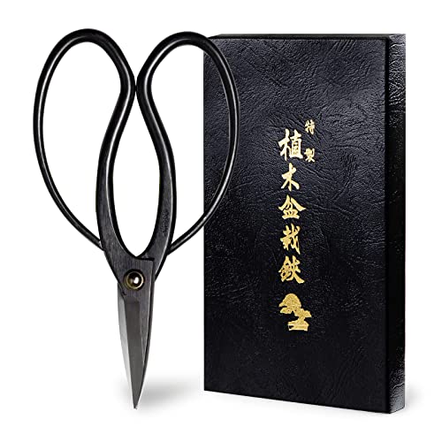 Hanafubuki Wazakura Bonsai Scissors Made in Japan 7inch(180mm), Japanese Bonsai Garden Tools, Hasami Pruning Shears - Traditional - color: Traditional 7"