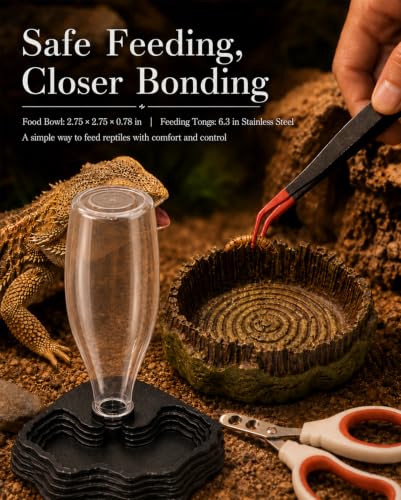 4 Piece Bearded Dragon Water Bowl Set, Food Bowl 13.5Oz | 6.3in Stainless Steel Tongs and Nail Clippers Feeding Grooming Kit Bearded Dragon Tank Accessories for Gecko Turtle Terrarium