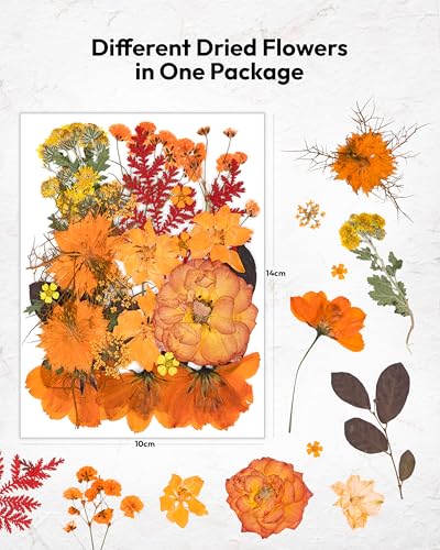 Dried Flowers, Resiners 100Pcs Pressed Flowers for Craft Real Natural Dried Flowers Dry Leaves Kit for DIY Making Crafts Resin Soap Candle Scrapbook Supplies Card Making Jewelry - color: Fall Color 100pcs