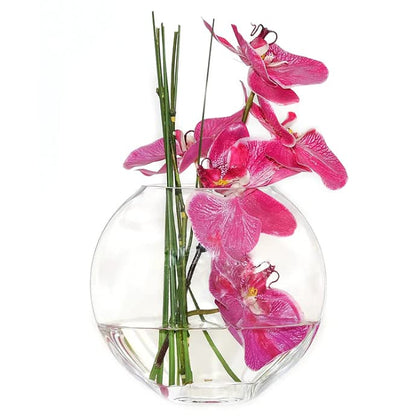 CYS EXCEL Glass Moon Vase Oval Bowl (H:7.5" L:9.25") | Multiple Size Choices Round Flower Vase Centerpiece | Plant Terrarium Bowl Vase - size: H-7.5" L-9.25"