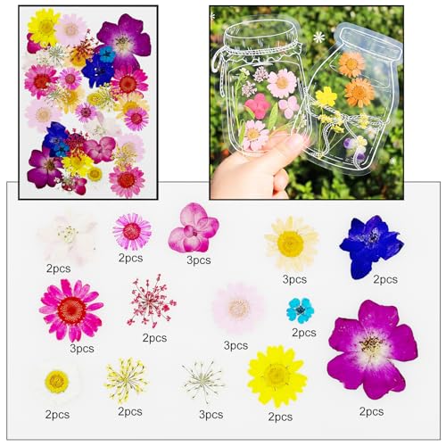 Cayway 170 PCS Dried Pressed Flower, Pressed Flowers and Leaves for Resin, Real Nature Pressing Floral Leaves for DIY Craft, Jewelry Making, Candle Scrapbooking Supplies, Red - color: 170pcs-red