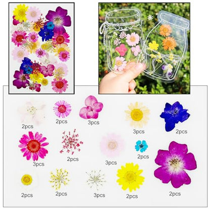 Cayway 170 PCS Dried Pressed Flower, Pressed Flowers and Leaves for Resin, Real Nature Pressing Floral Leaves for DIY Craft, Jewelry Making, Candle Scrapbooking Supplies, Red - color: 170pcs-red