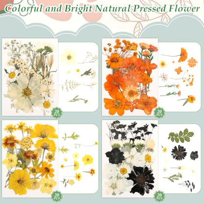 500 PCS Dried Flowers Butterfly Stickers for Crafts Real Natural Pressed Flowers Dry Leaves Kit for DIY Making Crafts Resin Soap Candle Scrapbook Supplies Card Making Jewelry - size: 500 Pcs Dried Flowers with Butterfky