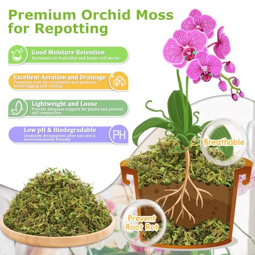 Legigo 1.3LB Sphagnum Moss for Plants, 25QT Natural Long Fiber Orchid Moss | Drainage & Moisture Retention, Green Plant Moss for Orchid Repotting, Carnivorous, Succulents, Reptile Bedding & Terrariums - size: 1.3LB