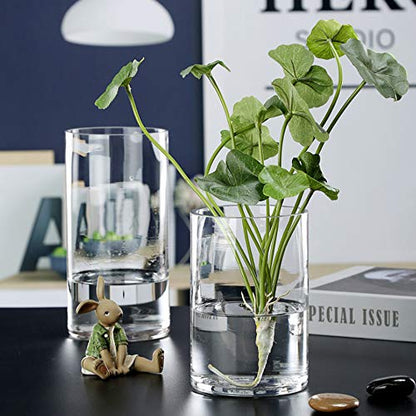 WGVI Quality Thick Clear Cylinder Glass Vases, 3" W x 8" H, Bud Vase Skinny Narrow Floral Bouquet Flower Container for Wedding Centerpieces Tabletop Home Accent Décor Brush Pen Holder, 1 Piece - size: 3"x8"H