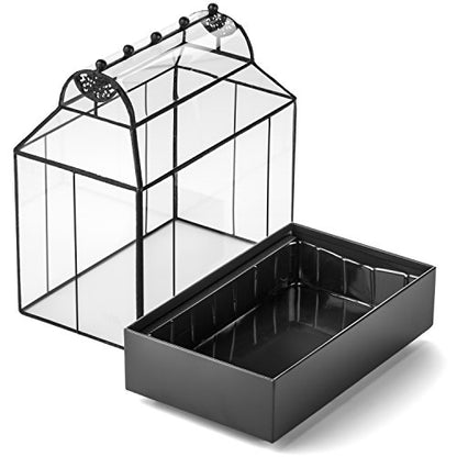 H Potter Glass Wardian Case, Curved Glass Terrarium Planter, 11.5 Inch Tall | Curved Glass, Tabletop Terrarium, Real Glass, Powder-Coated Metal, Indoor Plants