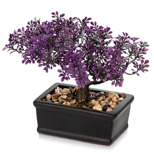 Artificial Bonsai Tree Juniper Faux Plants Indoor Fake Plants Decor with Black Ceramic Pots for Home Table Office Desk Bathroom Shelf Bedroom Living Room Farmhouse Decorations-Purple - style: 6" Purple Ficus