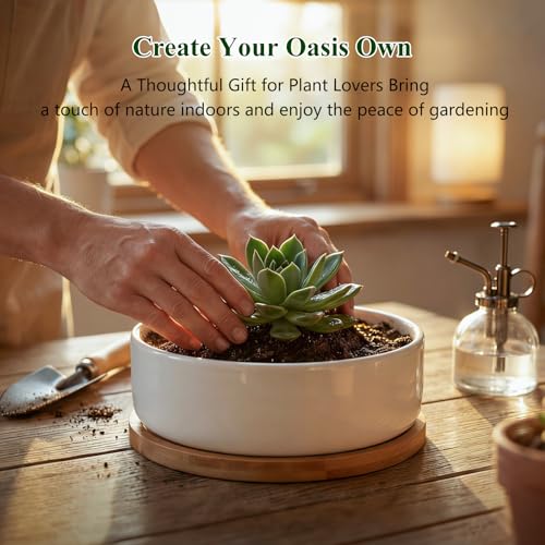 ZOUTOG Succulent Pots,6 Inch Succulent Planters with Drainage and Tray,White Ceramic Planters for Indoor Plants,Round Flower Plant Pots,Pack of 4 - color: 4 Pack