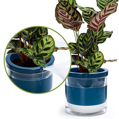 D'vine Dev Self-Watering Blue Terracotta Planter Pot, 8 in, 37-X-C-4 | Terracotta & Glass Design, Clear Water Reservoir, Visible Water Level, Easy Plant Care, Ideal for Busy Plant Lovers - color: Blue, size: 8 Inch