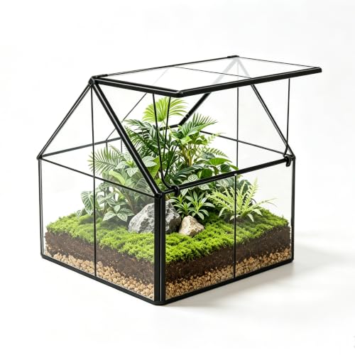 Ferrisland Glass Geometric Plant Terrarium, Clear Glass Succulent - size: 4.3" L x 4.3" W x 4.9" H