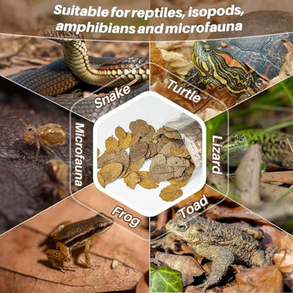 MAQIHAN 7 OZ Dry Oak Leaf Litter - Leaf Litter for Reptiles Oak Leaves for Isopods Live Substrate for Snakes, Frogs, Isopods, Terrarium Bedding | Whole Natural Oak Leaves for Terrarium, Forest Floor Habitat, Premium Enclosure Bedding for Snake, Frog, Geck