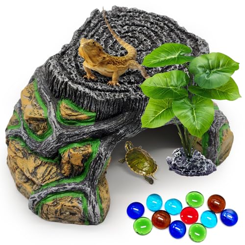 GOZILLA Reptile Cave for Terrarium,Reptile Humid Hide Basking Platform,Resin Root Decor for Frog,Bearded Dragon and Leopard Gecko.(Root-M-Kit)
