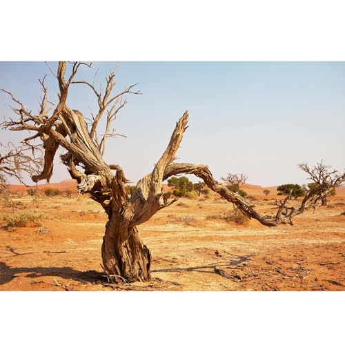 Reptile Habitat Background Orange Desert Terrarium Background Aquarium Background Dead Tree Backdrop Durable Polyester Background Decor Vinyl 48x24in - color: Brown, size: 48(W)x24(H)inches/ 120(W)*60cm(H)