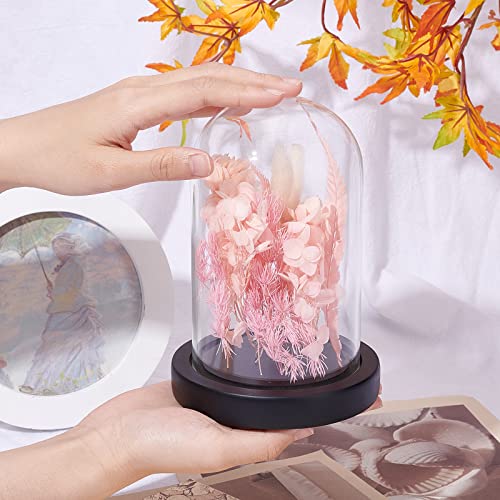 NBEADS Eternal Flower Glass Display Dome Cloche, Glass Display with Wood Pedestal Bell Jar Cloche for Valentine's Day Mother's Day Flower Decorations Crafts, Black Base