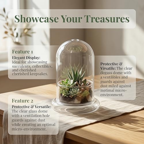 DOITOOL Micro Landscape Ecological Bottle Terrarium Jar 2 Pack High Borosilicate Glass Planter for Home Office Desk Decor 6.69X4.72X4.72In