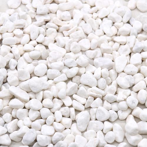 White Rocks for Plants & Planters, Decorative Pebbles, 0.5-1 Inch, 18 lb - color: WHITE - TUMBLED, size: SM (0.5 to 1 Inch)