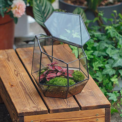 NCYP Handmade 7.5inches Small Close Geometric Terrarium with Door, Black Irregular Glass Planter, Modern Succulent Cacti Flower Pot, Home Garden Decor DIY Gift (Plants and Props NOT Included) - size: 8x7x7.5inches