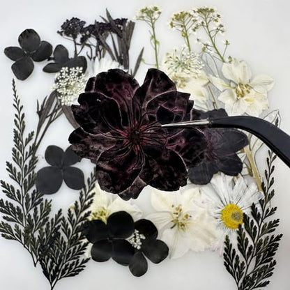 Cayway 2 Pack Pressed Flowers Natural Dried Flowers Black Resin Flowers Real Pressed Flowers with Butterfly Sticker for Resin Scrapbook DIY Art Crafts, Epoxy Resin Jewelry Supplies, Style D - color: Black White Style D