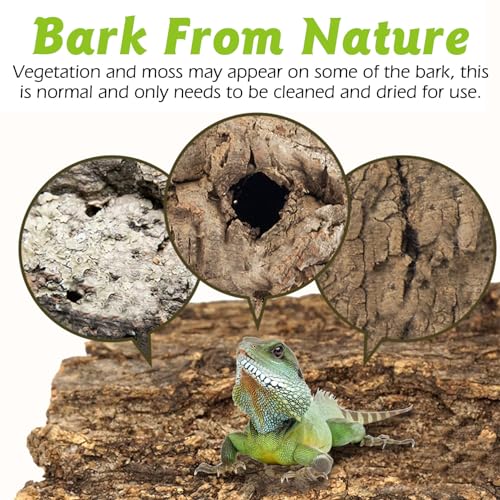 Reptile Cork Bark with Reptile Terrarium Acrylic Tarantula Breeding Box Magnetic Hermit Crab Habitat Tank Transparent Jumping Spider Cage for Insect Snail Amphibians Sling Isopods