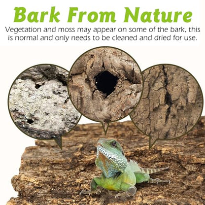 Reptile Cork Bark with Reptile Terrarium Acrylic Tarantula Breeding Box Magnetic Hermit Crab Habitat Tank Transparent Jumping Spider Cage for Insect Snail Amphibians Sling Isopods