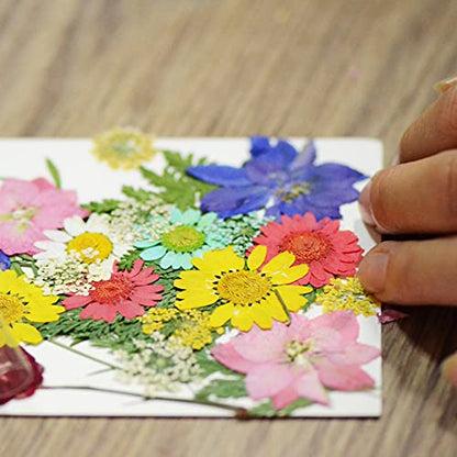 Woohome 110PCS Real Pressed Flowers, Dried Pressed Flowers Colorful Real Pressed Flowers for Resin Nail Art Scrapbooking Candle Jewelry Making Real Dried Pressed Flowers Resin Supplies Kit - color: 1