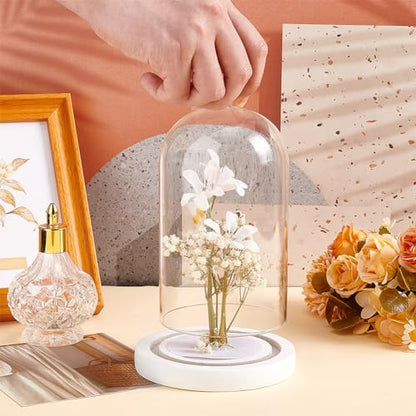 PH PandaHall Glass Dome with Base Cloche Cloche Bell Jar Display Dome Case Glass Decoration Bottles for Plants Flower Display Clay Succulents Storage Home Party Favor Decoration 3.5x7 inch