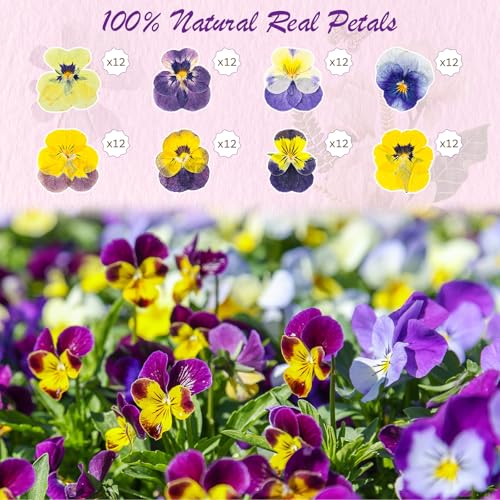 96 Pcs Pressed Edible Flowers, Purple, Flower Style | Natural Dried Flowers for Cake Topper Cupcake, Cocktails Garnish, Resin Jewelry DIY, Soap, Candle Making Art Crafts - color: Purple, style: Flower Style