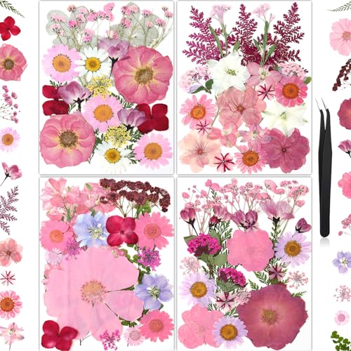 85Pcs Pink Dried Flowers for Crafts, Natural Pressed Flowers for Crafts Real Dried Pressed Flowers Dry Leaves for Resin, DIY Art, Scrapbook, Nails Decor, Jewelry, Candle & Soap Making, with Tweezers - color: Baby Pink 85pcs