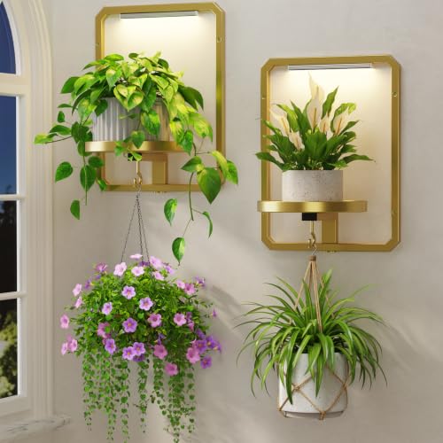 LASZOLA Plant Picture Frame Holder Shelf Wall with Lights, 2 Pcs Gold - color: Gold with Light, size: 2