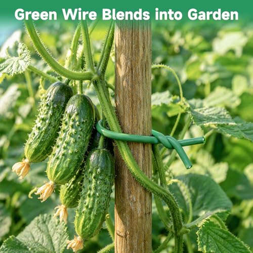 KINGLAKE Green Garden Wire with Pliers - 66 Feet 3.5mm Garden Ties Soft Plant Twist Ties Plant Wire for Climbing Plants Tomatoes Support Vines Vegetables Flowers Indoor & Outdoor Gardening Training - size: 3.5mm x 66ft