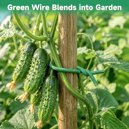 KINGLAKE Green Garden Wire with Pliers - 66 Feet 3.5mm Garden Ties Soft Plant Twist Ties Plant Wire for Climbing Plants Tomatoes Support Vines Vegetables Flowers Indoor & Outdoor Gardening Training - size: 3.5mm x 66ft