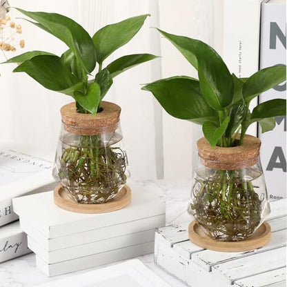 12 Packs Propagation Vases for Plants Plastic Plant Propagation with Hole Lid and Bamboo Stand Growing in Water Hydroponic Home Office Desktop Vase Decoration (Cup Style) - style: Cup Style
