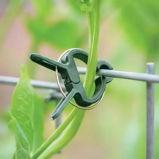 10PCS Adjustable Plant Clips - Reusable Garden Support for Flowers, Vines, Vegetables & Tomatoes, Essential Gardening Tools, Green - color: Green