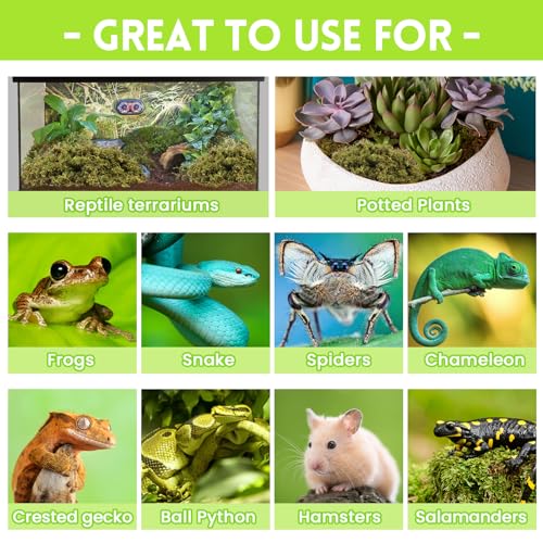 Riare 1.3lb Natural Sphagnum Moss for Reptiles, Terrarium Substrate Bedding | High Expansion, Moisture Retention, Helps Shedding, Long Fibered Dried Moss for Leopard Gecko, Snake, Frog, Turtle - color: 21 OZ