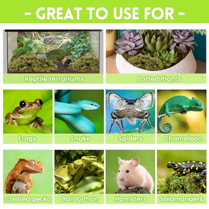 Riare 1.3lb Natural Sphagnum Moss for Reptiles, Terrarium Substrate Bedding | High Expansion, Moisture Retention, Helps Shedding, Long Fibered Dried Moss for Leopard Gecko, Snake, Frog, Turtle - color: 21 OZ