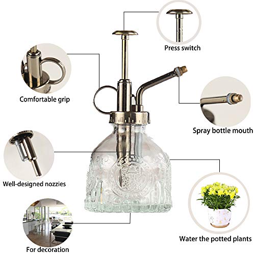 Plant Mister Glass Spray Bottle Small Plant Watering Can 6.4" Tall Retro Indoor Watering Can Bronze Plastic Top Pump for Garden Indoor Plant Sprayer (Transparent) - color: Transparent