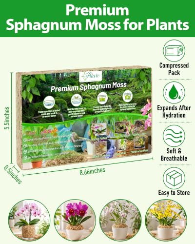 Riare 3.88oz Premium Sphagnum Moss for Plants-Natural Long Fiber Plant Moss - size: 4QT/3.88oz