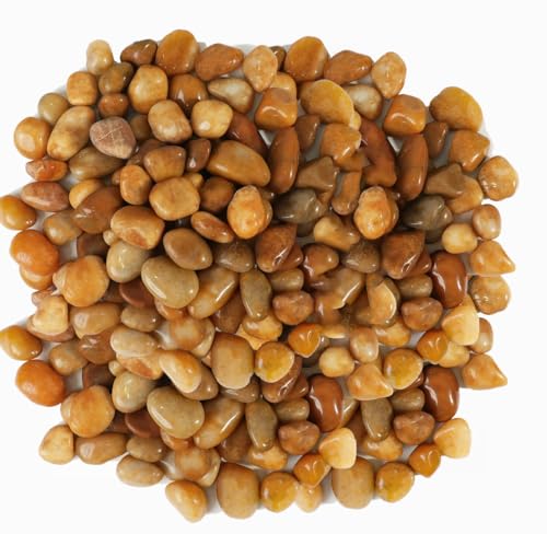 2 LBS River Rocks, StoneCreek, Decorative Garden Stones for Plant Landscaping, Polished Gravel Filler Pebbles for Home Decoration, Vases, Succulents, Flower Beds and Fish Tanks (Pale Yellow, Medium) - color: Pale Yellow, size: 2 LBS