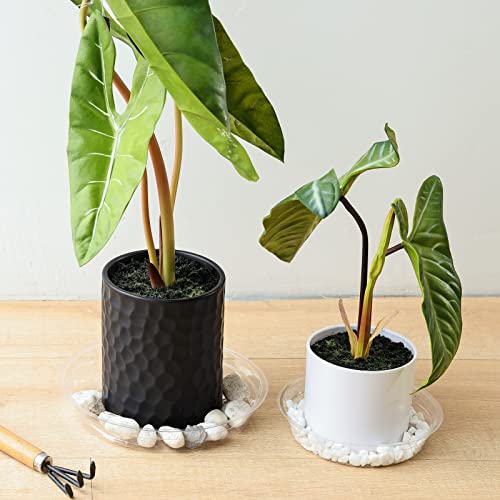 TRUEDAYS 15 Pack(6 inch/8inch/10inch) Clear Plant Saucers Flower Pot Tray Excellent for Indoor & Outdoor Plants - size: 15-Pack (6''+8''+10'')
