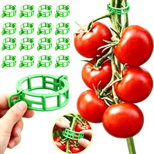 150PCS Plant Clips,Tomato Clips,Garden Clips,Reusable Plant Support Clips,Suitable for Gardens, Plants, Raspberries, Nasturtium and Climbing Plants(150,Green)