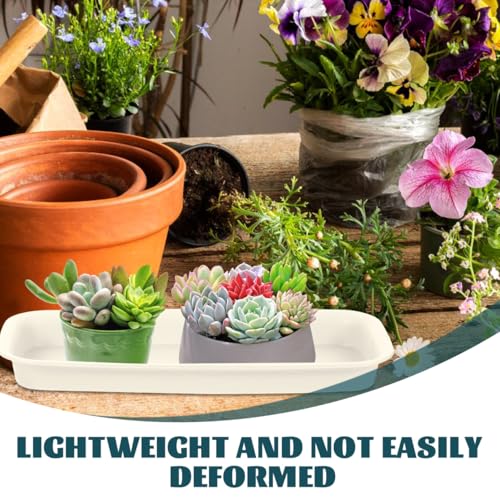 Healeved 3pcs Plastic Flowerpot Trays Rectangular Plant Saucer Elegant Square Plant Water Plate Bonsai Water Trays - size: 24.00X8.50X2.50CM