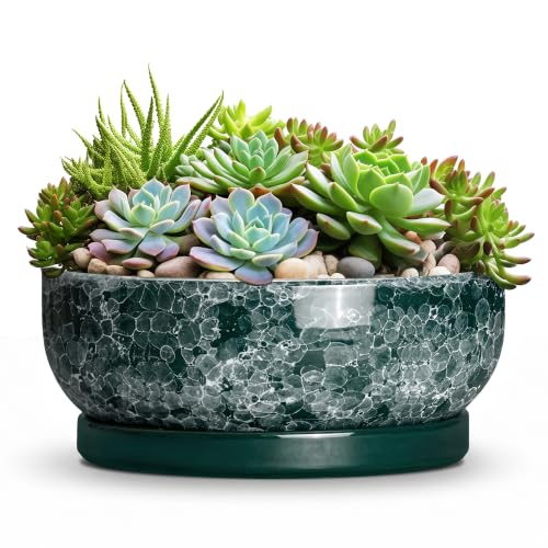 Succulent Pots Ceramic, 10 Inch Bonsai Planter, Droplet Green | Round Succulent Planters with Drainage Hole and Tray, Shallow Pot for Plants for Indoor Plants, Home Decor, Gifts for Women - color: Droplet Green, size: 10 Inch