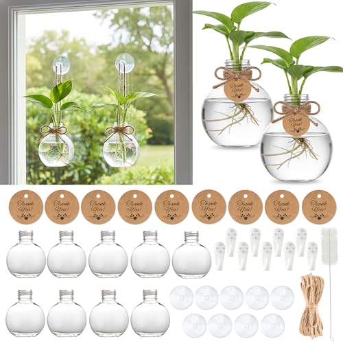 Plastic Window Propagation Stations Hanging Plant Propagation Vases