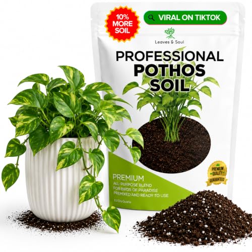 Leaves & Soul Pothos Soil Potting Mix 2.2 Qt Indoor Plant Soil for Pothos | Ready-to-Use Indoor Potting Mix; Blend of Peat Moss, Coco Coir, Perlite & Dolomite for Pothos and Houseplants in Pots - color: Pothos Soil, size: 2.2 Quarts