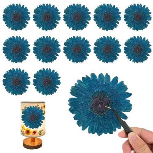 ALJ Large Size Blue Dried Sunflowers for Resin Crafts Embellishment, Natural Pressed African Daisy, Gerbera Jamesonii for DIY Jewellery Candle Making Phone Case Home Wedding Decor (3.14-3.54IN) - color: Blue