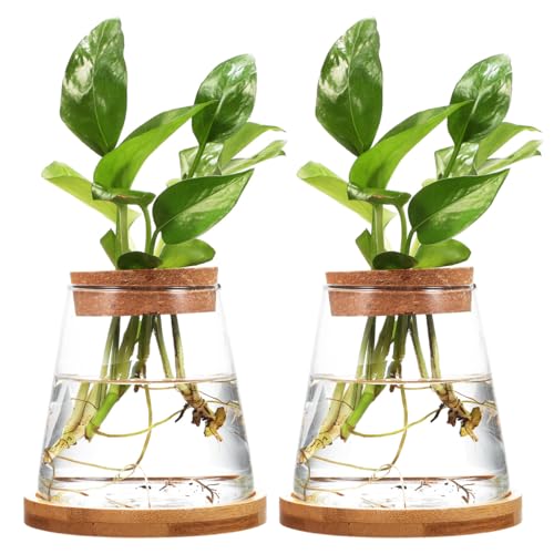 2pcs Glass Plant Propagation Station with Wooden Base Hydroponic Plants Vase for Indoor Decor Glass Terrarium Vase Jars Home Kitchen Decorations and Gifts for Planter Lovers