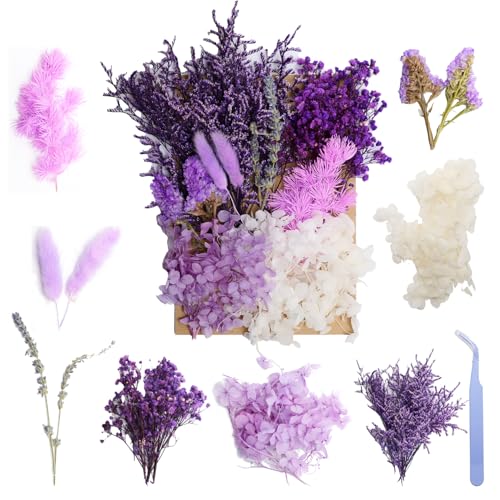 Real Dried Flowers for Resin, Natural Pressed Flowers (Purple ) | Natural mixed dried flower pack with tweezers for DIY resin,crafts& candles. - color: Purple