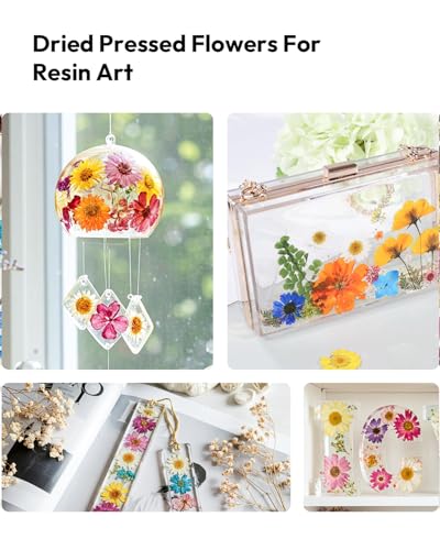Dried Flowers, Resiners 100Pcs Pressed Flowers for Craft Yellow Real Natural Dried Flowers Dry Leaves Kit for DIY Making Crafts Resin Soap Candle Scrapbook Supplies Card Making Jewelry - color: Yellow 100pcs